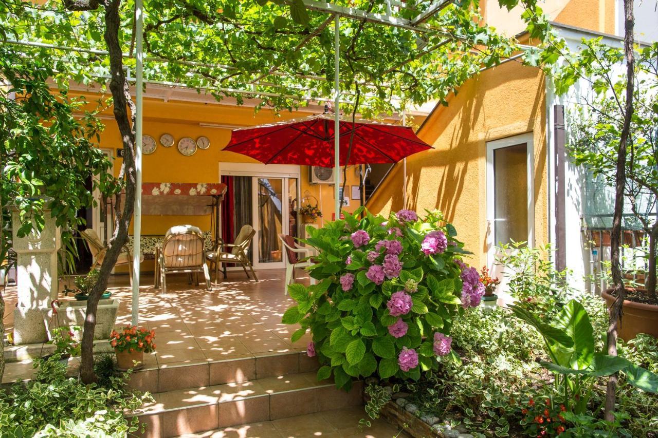 Guest house Predrag Budva