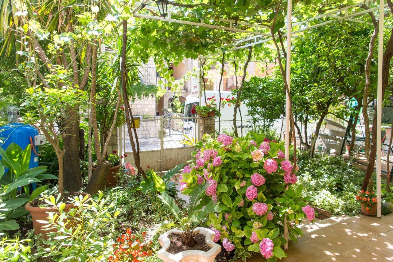 Guest house Predrag *