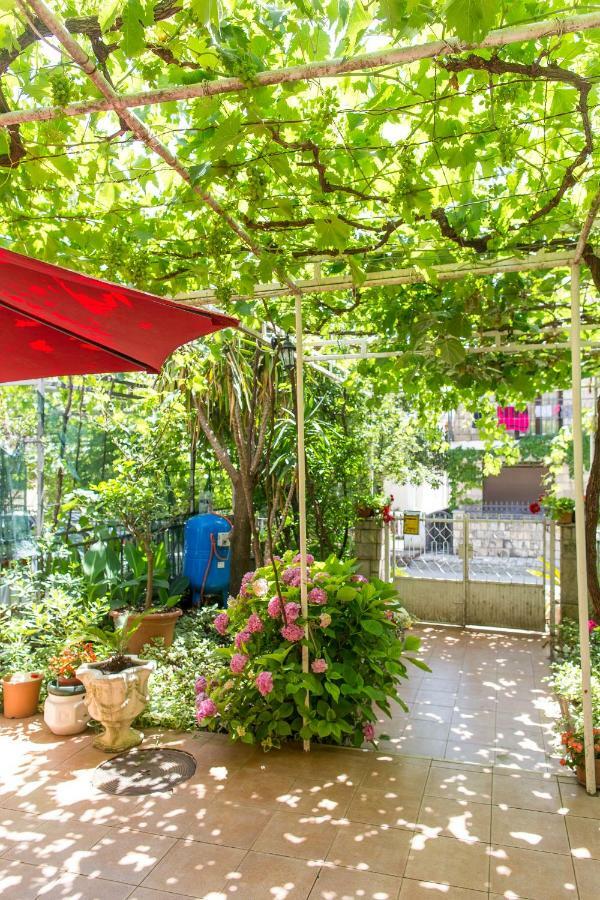 Guest house Predrag Budva